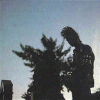 223 x 222 (9.4 KB)